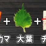 【お弁当おかず】カニカマ大葉チーズフライの作り方！冷めても美味しいカニカマレシピ紹介～包丁もまな板もいらない～冷蔵庫にあるもので簡単おいしい節約料理/旦那弁当/毎日弁当【 bento 】