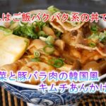 白菜と豚バラ肉の韓国風キムチあんかけ丼の作り方　これはご飯バクバク系の丼です‼