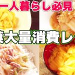 【簡単】白菜を消費したい！！簡単ズボラレシピ【一人暮らし女子】