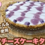 【低糖質スイーツ】バター、卵、小麦粉なし！簡単♪レアチーズケーキタルト|オイコスアレンジレシピ