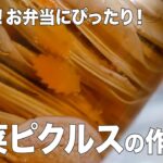 楽ちん！野菜ピクルスの作り方 #お弁当 #ピクルス #レシピ