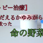 【家庭菜園】農家が教える　超カンタン！　安心野菜の作り方　＃家庭菜園　＃無農薬栽培