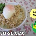 チャレンジ！キッズ朝ごはん「そぼろ丼」