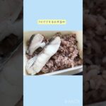 【高校生】リアルな、お弁当