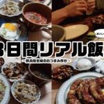 【おうち居酒屋】我が家の3日間リアル飯/野菜たっぷり大満足なおつまみ/低糖質レシピ/〜飲兵衛主婦のおつまみ作り〜【晩酌】　vol.40