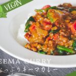 【Vegan/大豆ミートレシピ】野菜たっぷりキーマカレーの作り方〜Keema curry〜