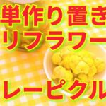 ★レシピ動画★お弁当にも☆簡単作り置き♪カリフラワーのカレーピクルス★【hirokoh(ひろこぉ)のおだいどこ】