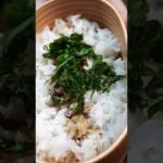 【給料日前の弁当】ラード弁当の作り方