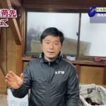 野菜はどんなところに出荷してるの？