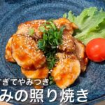 【激うま】絶品！ささみの照り焼き【メインのおかずやお弁当にも】