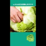 レタスの芯が簡単に取れる!?#レタス #芯 #野菜 #下ごしらえ #2022 #見ちゃう動画 #平和な日常 #tiktokレシピ #料理 #ライフハック #裏技 #tiktok教室 #野菜レシピ #