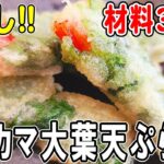 【お弁当おかず】カニカマ大葉天ぷらの作り方！5分で作れる！～包丁もまな板もいらない超時短レシピ～冷めても美味しい簡単お弁当おかず　節約料理/旦那弁当/毎日弁当/カニカマレシピ/bento