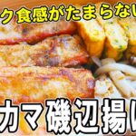 【お弁当作り】カニカマ磯辺揚げ焼き弁当bento 安くて時短なカニカマアレンジ;弁当レシピ~包丁もまな板もいらない~/旦那弁当/毎日弁当/カニカマ