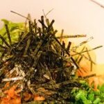 【極悪ヘルシー丼】ヴィーガンネバネバ丼 #shorts