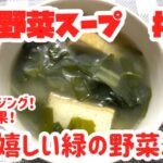 体に嬉しい緑の野菜スープ