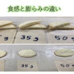 アボカドを使ったスイーツの開発