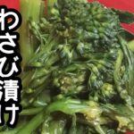 スティックセニョール(茎ブロッコリー)農家が作る副菜レシピ【わさび漬け】
