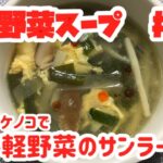 お手軽野菜のサンラータン