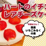 バレンタインにイチゴレアチーズケーキ