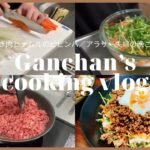 【料理vlog】合挽き肉とナムルのビビンバ／簡単レシピ