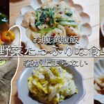 【おうち居酒屋】今日は一人寂しく晩酌飯/簡単おすすめレシピ/野菜たっぷりな食卓/やはり今日もうちの猫様が世界一かわいい件について〜飲兵衛主婦のおつまみ作り〜【晩酌】　vol.43