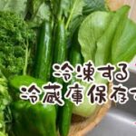 3週間ぶりのまとめ買い、帰宅後の野菜保存などお伝えします