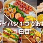 【3COINSのシリコンリング】フライパン1つで旦那のお弁当 1日目