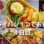 【3COINSのシリコンリング】フライパン1つで旦那のお弁当 4日目