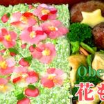 【花弁当】花桃（はなもも）🌸　春のルンルンお弁当 ‼  How To Make a Bento /Peach Blossom Decoration 【椎茸のひき肉詰め】【鶏むね肉のオイスタマヨソース】