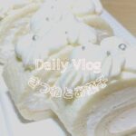【Vlog】簡単/お菓子作り/ホワイトロールケーキ/パティシエ/レシピ付き