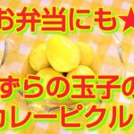 ★レシピ動画★お弁当にも😊簡単♪うずら玉子のカレーピクルス★【hirokoh(ひろこぉ)のおだいどこ】