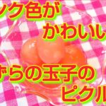 ★レシピ動画★お弁当にも💕簡単作り置き♪ピンク色が可愛い玉子のピクルス★【hirokoh(ひろこぉ)のおだいどこ】