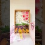 🌸春のお弁当🌸#shorts #お弁当 #お弁当詰め方 #レシピ #曲げわっぱ