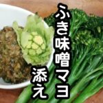 スティックセニョール(茎ブロッコリー)農家が作る副菜レシピ【ふき味噌マヨ添え】