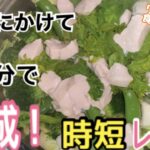 【時短レシピ】ひとつの鍋で完結する栄養豊富な鶏むね肉と野菜の簡単レシピ〜うつの時はひと鍋料理が助かりました！