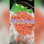 丼丸のどんぶり🤤