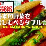 【スパイスキットで作る！】🔰初めて+簡単+本格＝旨い野菜カレー｜料理動画｜人気レシピ｜スパイスカレーの作り方｜晩御飯献立｜№５基本の野菜を楽しむベジタブルカレー