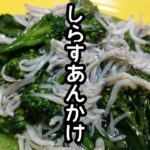 スティックセニョール(茎ブロッコリー)農家が作る副菜レシピ【しらすあんかけ】