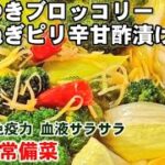 これは食べるサプリ。ブロッコリー新玉ねぎ春野菜ピクルスピリ辛甘酢漬け/ダイエット痩せる作り置き常備菜/副菜/癌予防/血液サラサラ免疫力