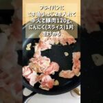 【至高のネギ塩レモンガーリック豚丼】