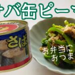 【さば缶の副菜】美味しいさば缶は、これ!