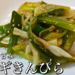 【即副菜】食感が良すぎるきんぴら炒め。簡単に出来ておつまみにもなる逸品です/節約料理/ねぎレシピ/健康/白ネギ/基本の料理/アレンジレシピ/きんぴら/野菜/きんぴらレシピ/節約レシピ/ダイエット