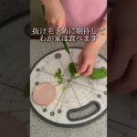 【レンチン】お弁当の端の名脇役なヘルシーおかず【もう一品】レシピ詳細はインスタに👉@yuka_raku5han #お弁当レシピ #副菜 #しらたき #ハム#ピーマンレシピ #無限レシピ