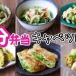 【 10分弁当 キャベツレシピ 】すぐできる！キャベツで簡単おかず～包丁もまな板もいらない～ 【 bento 】