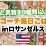 【簡単レシピ 海外】ママ栄養コーチの10種野菜ご飯vlog in アメリカ ロサンゼルス☆