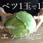 【材料費1500円以下】旬のキャベツ1玉消費！美味しく食べて痩せる、1週間ダイエットレシピ。主菜7品+副菜2品作ります