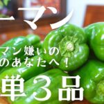 【ピーマンレシピ】一度食べたらやめられない✨ピーマンを使った簡単おつまみ3品