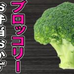 【お弁当おかず】ブロッコリーの簡単料理レシピ5選　冷めても美味しいおかずの作り方！冷蔵庫にあるもので簡単おいしい節約料理/旦那弁当/毎日弁当/ブロッコリーレシピ/bento