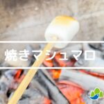 【レシピ動画】BBQスイーツ★焼きマシュマロを作ってみよう!