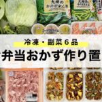 【お弁当おかず】副菜６種作り置き/冷凍保存と事前準備/Japanese bento